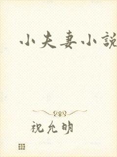 小夫妻小说