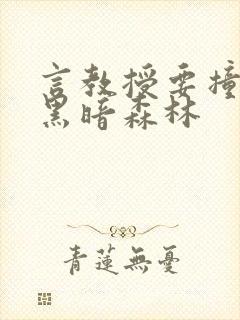 言教授要撞坏了黑暗森林封面