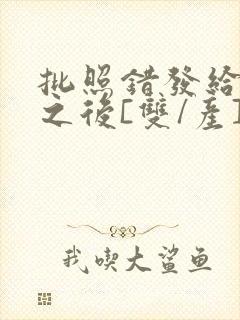 批照错发给情敌之后[双/产]