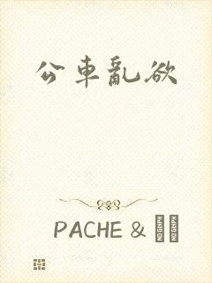 公车乱欲
