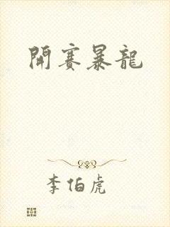开赛暴龙封面