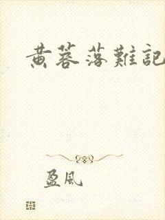 黄蓉落难记封面