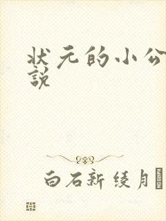 状元的小公主小说