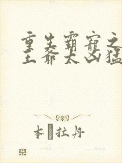 重生霸宠之摄政王爷太凶猛
