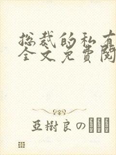 总裁的私有宝贝全文免费阅读