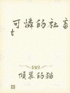 可怜的社畜txt