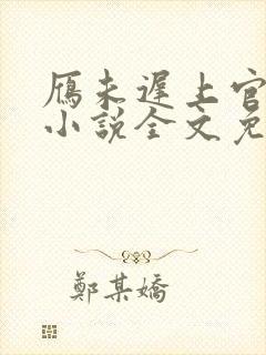 雁未迟上官穿越小说全文免费阅读封面
