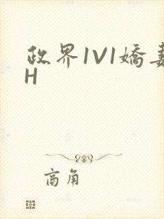 政界1V1娇妻H封面