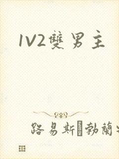 1V2双男主