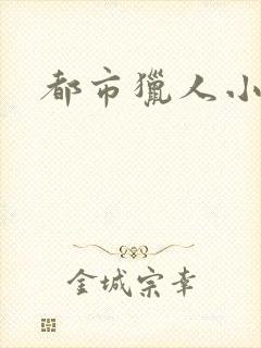 都市猎人小说