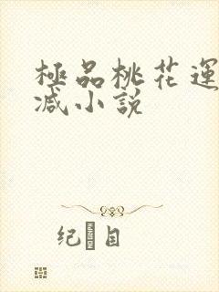 极品桃花运未删减小说