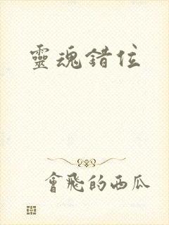 灵魂错位封面