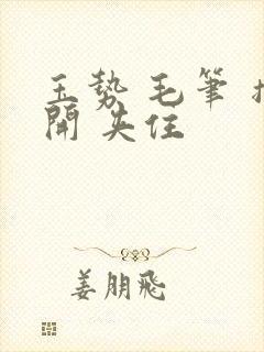 玉势 毛笔 撑开 夹住封面