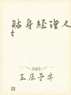 贴身经理人txt