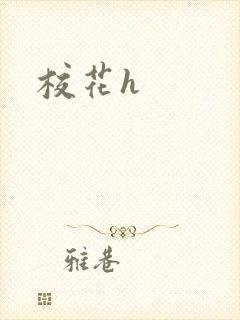校花h