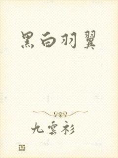 黑白羽翼