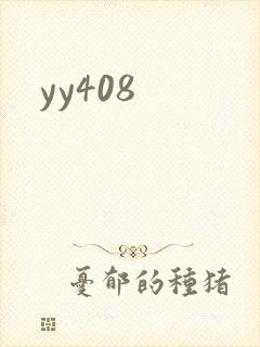 yy408