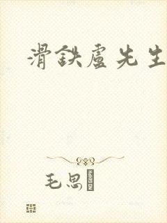 滑铁卢先生