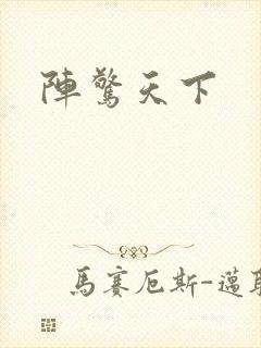 阵惊天下