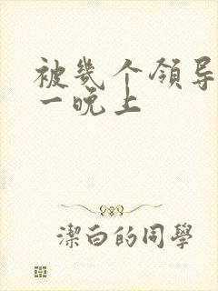 被几个领导玩弄一晚上