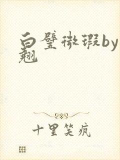 白璧微瑕by连翘