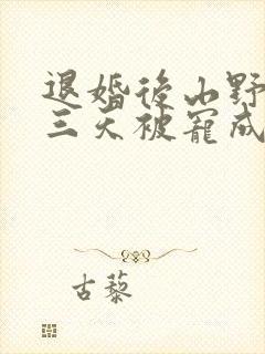 退婚后山野糙汉三天被宠成宝小说