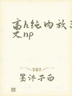 高h纯肉放荡h文np