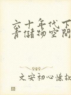 六十年代下乡知青储物空间