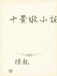 十景缎小说封面