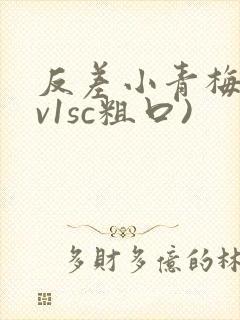 反差小青梅(1v1sc粗口)