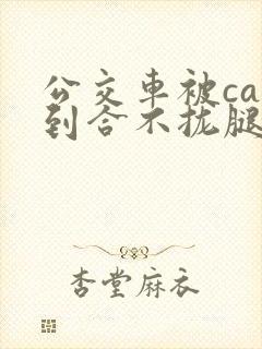 公交车被cao到合不拢腿视频