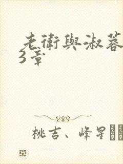 老卫与淑蓉第13章