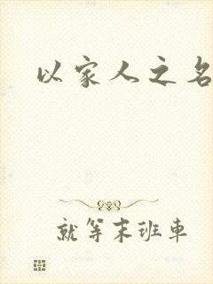 以家人之名小说