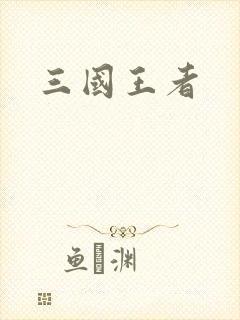 三国王者