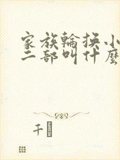 家族轮换小说第二部叫什么名字封面