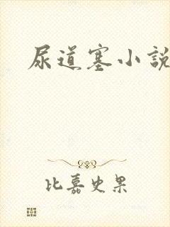 尿道塞小说