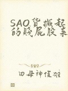 SAO货撅起你的贱屁股来