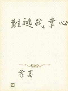 难逃我掌心封面