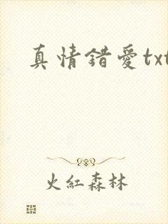 真情错爱txt