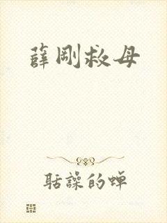 薛刚救母