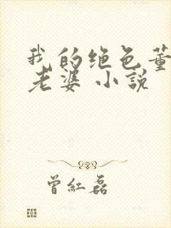 我的绝色董事长老婆 小说