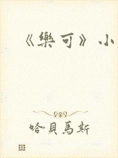《乐可》小说