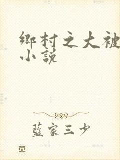 乡村之大被同眠小说封面