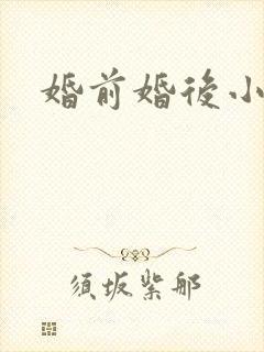 婚前婚后小说