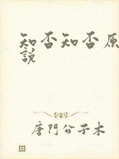 知否知否原著小说