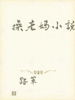 操老妈小说