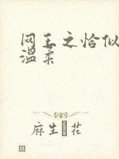 网王之恰似你的温柔封面
