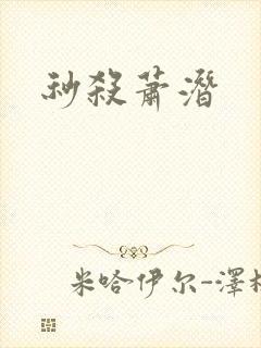 秒杀萧潜封面