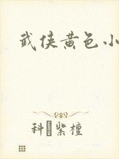 武侠黄色小说