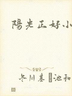 阳光正好小说封面